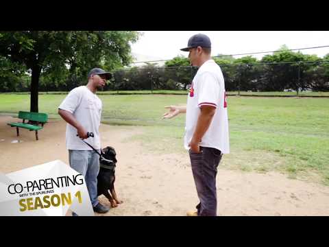 Rottweiler doing his first television show