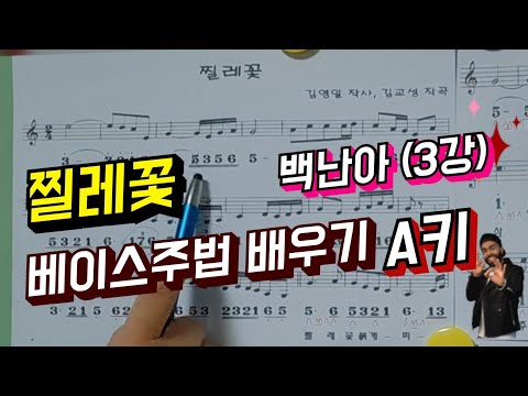 찔레꽃 MR 베이스주법 하모니카 배우기 A키