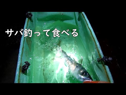 【サビキ釣り】デカサバ釣って食べる