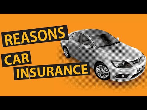 10 Reasons You Need Car Insurance