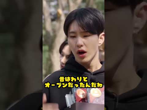 【SEVENTEEN/セブチ】へムチになっちゃうホシくん🐯【日本語字幕】