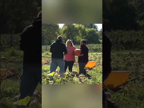 Pumpkin Patch Prank: Kids Set Up for a Scare!