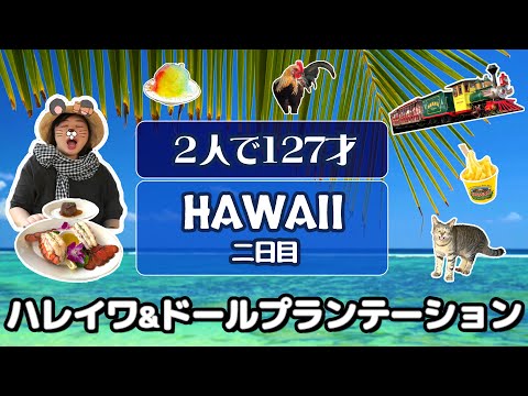 【ハワイ】パイナップル列車、ハレイワ散歩、ｄ・ｋステーキでのディナーと盛り沢山の1日になりました。ロブスターが好きな方、必見です！