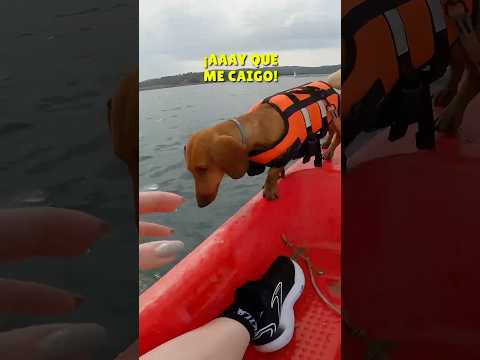 PELIGRO⚠️Montamos en KAYAK😱