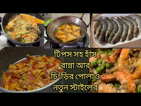 হাঁস রান্না/চিংড়ির পোলাও রান্না/টিপস সহ, কেন আজকে এত রান্না করলাম?