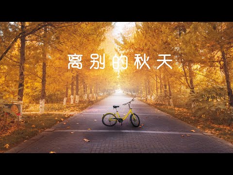 2021抖音伤心情歌 离别的秋天（动态歌词 无损音质）|Chinese POP Music