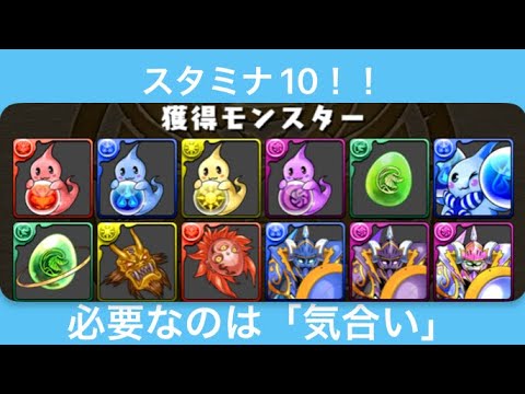 【パズドラ】育成ダンジョン　スタミナ10　周回編成