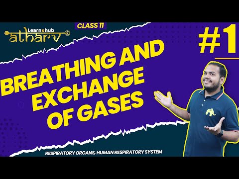 Breathing and Exchange of Gases Class 11 Biology NCERT Chapter 13 #1 | Respiratory System | Atharv