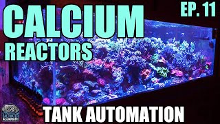 CALCIUM REACTORS vs. Dosing Pumps - How to Choose? -Tank Automation