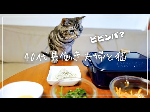 【40代共働き夫婦と猫の休日】ホットプレートでビビンバを作るとこういうことになりますw