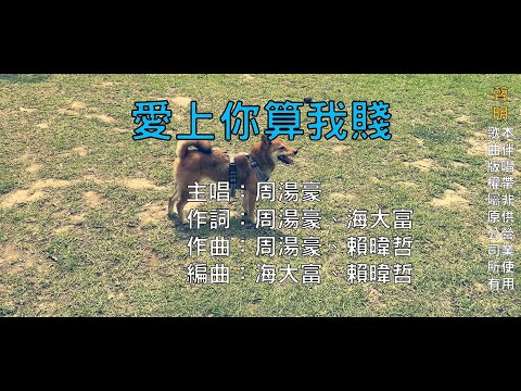 【國語KTV】周湯豪 - 愛上你算我賤 (原聲/伴唱切換)