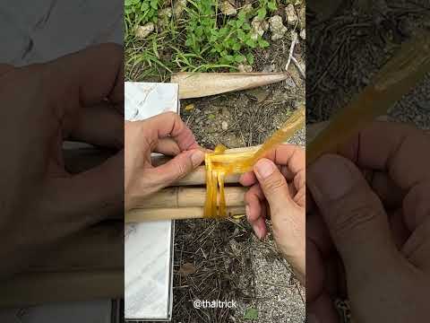 Quick firewood bundle hack  #knots #campinghacks #diy