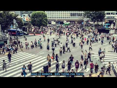 Giao lộ Shibuya - Nơi hàng triệu người qua đường một ngày ở Tokyo