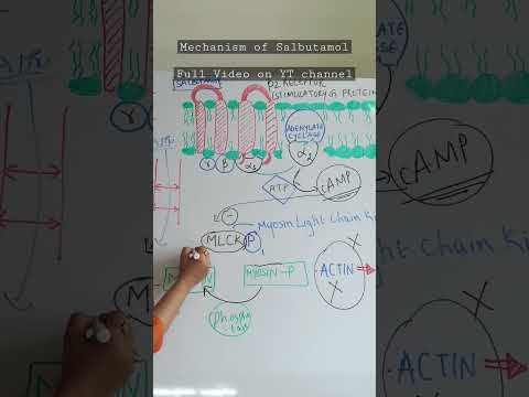 Salbutamol Mechanism of Action #salbutamol  #drnikita #gpat #neetpg #neet #shorts