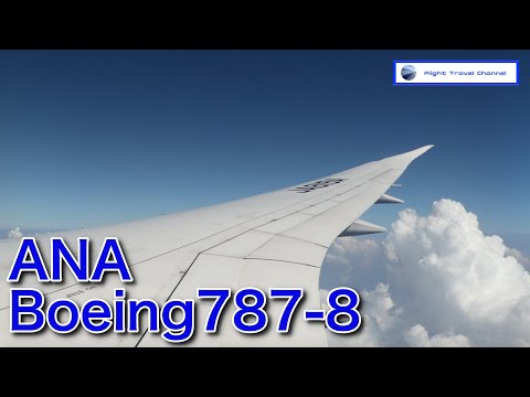 【機窓】ANA・B787での伊丹空港から那覇空港までの素晴らしいフライト