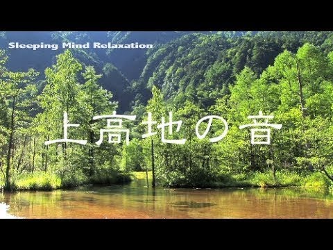 癒しの水の音｢せせらぎ(水流音)｣ 睡眠・集中力を促進するリラックスα波自然音 1時間