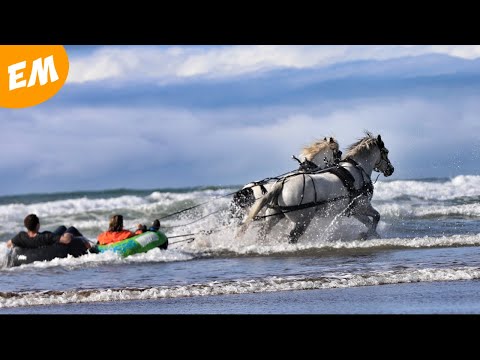 Waves, White Horses and a couple of Donuts!