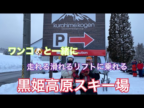 ワンコと一緒に走れる滑れる！リフトに乗れる！スキー場　黒姫高原スキー場　愛犬　小型犬