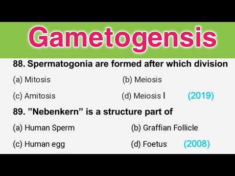 Gametogenesis MCQ | Spermatogenesis and Oogenesis MCQ