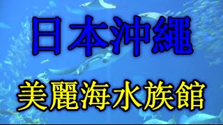 日本之旅：沖繩縣　美麗海水族館（Churaumi Suizokukan）　滿喫沖繩海洋生物跳動生命的神祕色彩☆　黑潮水槽箱　世界上最大的水槽箱之一　沖繩13　Moopon