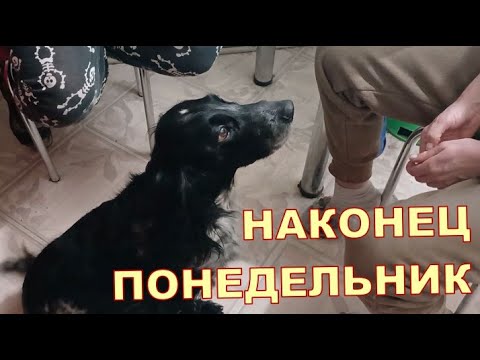 НАКОНЕЦ ПОНЕДЕЛЬНИК 👍👍