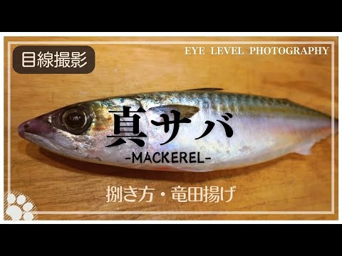 【簡単】真サバの竜田焼の作り方。