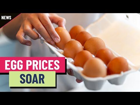 Why you keep paying more for eggs