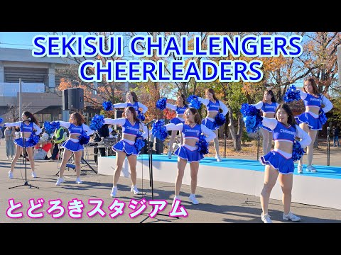 【4K】 SEKISUI CHALLENGERS チアリーダー＠とどろきスタジアム2024